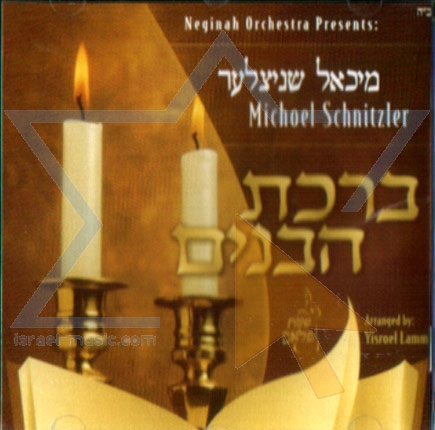 מיכאל שניצלער - שבת פלאם - ברכת הבנים -