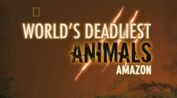 נשיונאל ג'יאוגרפיק - החיות הקטלניות בעולם (אמזונס) National Geographic - World's Deadliest Animals (Amazon)
