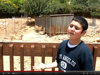 ישראל עמר - כאייל תערוג (סינגל ווקאלי חדש) 