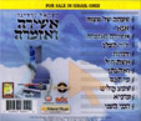 ישראל ורדיגר - דוד המלך - 