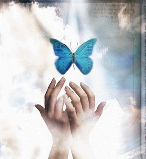 מאור דוד - בתפילה - 