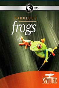  צפרדעים מופלאות - Fabulous Frogs  - תרגום מובנה - BDRip - 