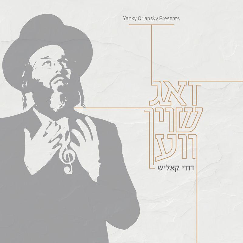דודי קאליש - זאג שוין ווען - אלבום חדש ובלעדי - Dudi Kalish - Zug Shoin Ven  - 
