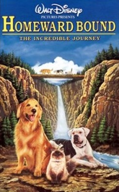 המסע המופלא הביתה - מדובב - DVDRip - 