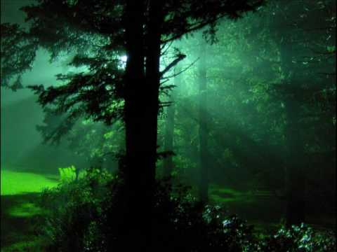 מוזיקה מרגיעה של טבע לרגיעה ושלווה לאחר ההכנות לחג הפסח| איכויות שמע ווידאו מעולות ומשופרות - 