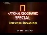 סרט טבע מתקפת מדוזות  - 
