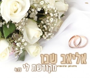 אליאב שבו - מקודשת לי - 