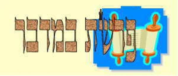 לקט דרשות לפרשת במדבר - 