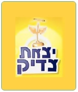 יצאת צדיק - עונה 3, פרק 5 