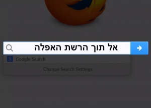 אל תוך הרשת האפלה (2016) - 