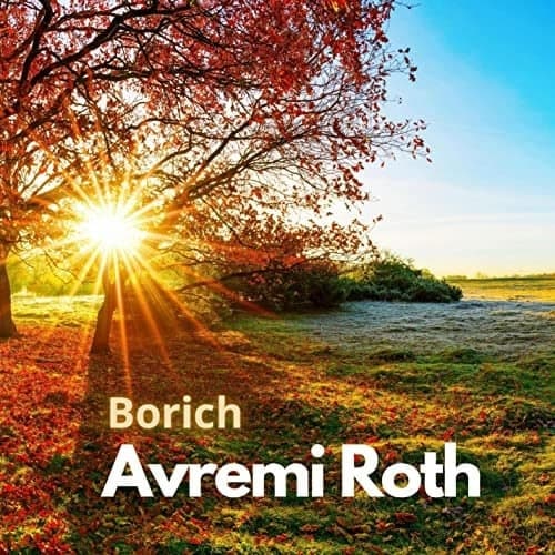 אברימי רוט - ברוך - אלבום מלא - Avremi Roth Borich -