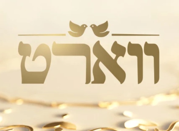 ווארט עונה 2 פרק 22 -