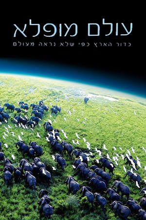 עולם מופלא עונה 1 - פרק 7 - 