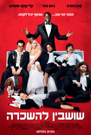 שושבין להשכרה - The Wedding Ringer - תרגום מובנה BDRip -