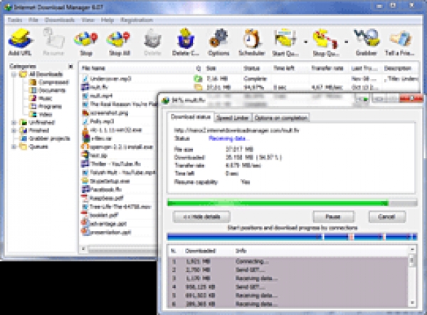 Internet Download Manager 6.11 Build 8 - 