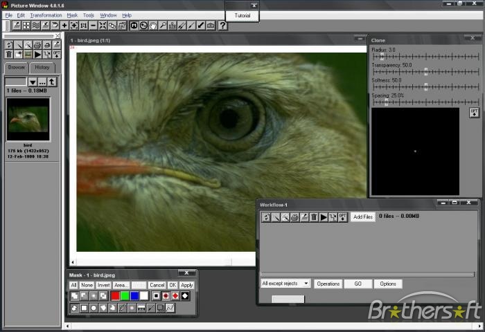 PIC WINDOW PRO תוכנת עריכת תמונות מקצועית גרסה חדשה - 