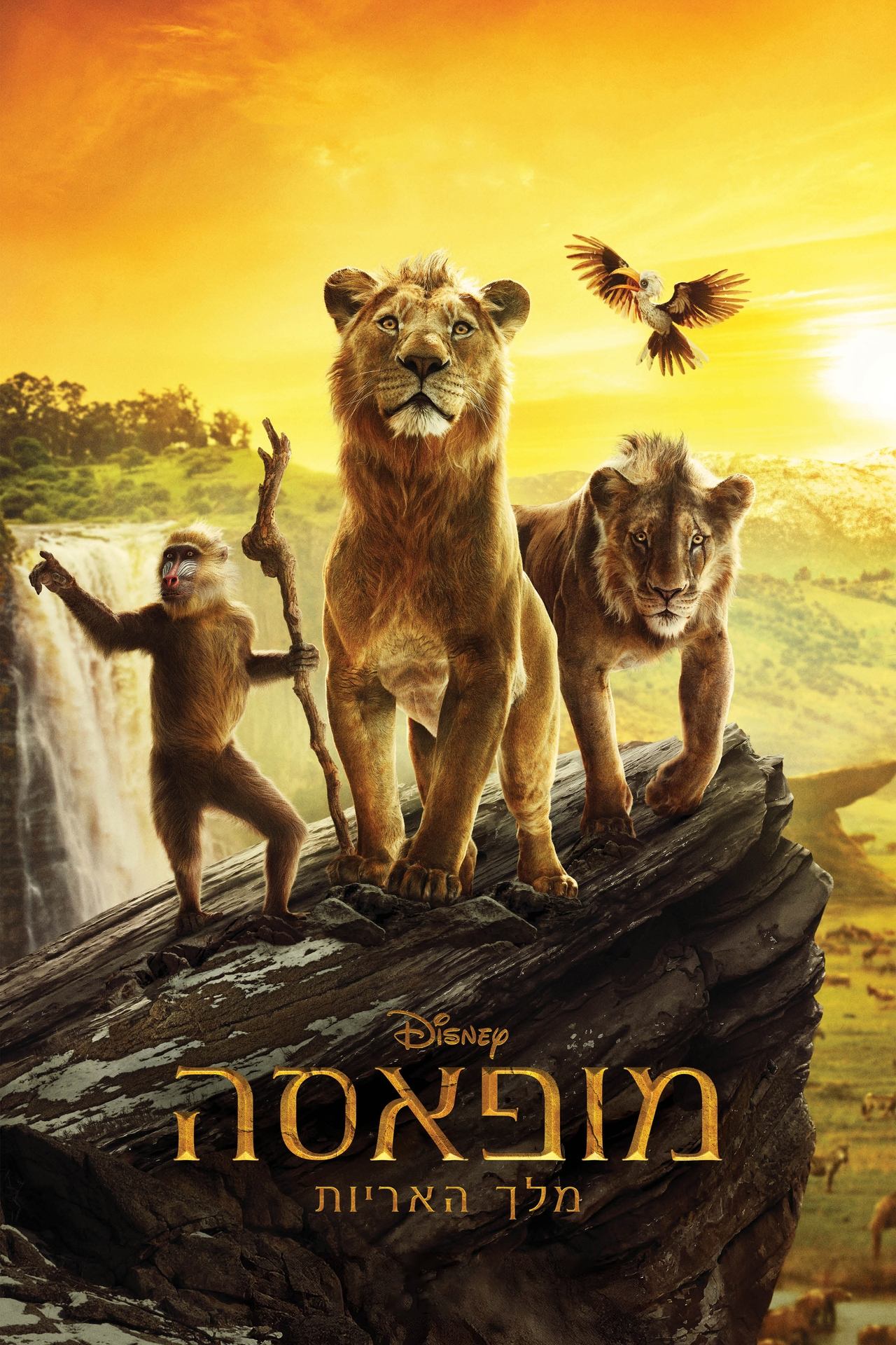 מופאסה: מלך האריות -  מדובב - Mufasa The Lion King