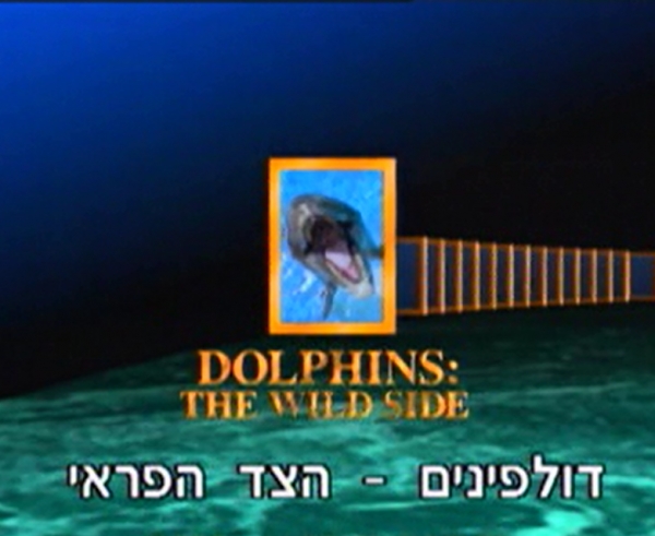 נשיונל גיאוגרפיק - הראני נפלאות - דולפינים הצד הפראי - 
