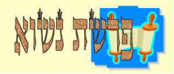 לקט דרשות לפרשת נשא - 