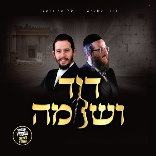 שלומי גרטנר - דוד ושלמה -