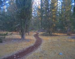 אמא סינגלרבקי פיש שיר לנשים - 