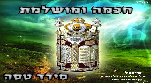 מידד טסה - חכמה ומושלמת רמיקס - 