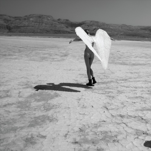 רמי פורטיס - תולדות הכותרת - אלבום חדש - 