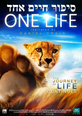 סיפור חיים אחד   סרט טבע ב DVDRiP - 