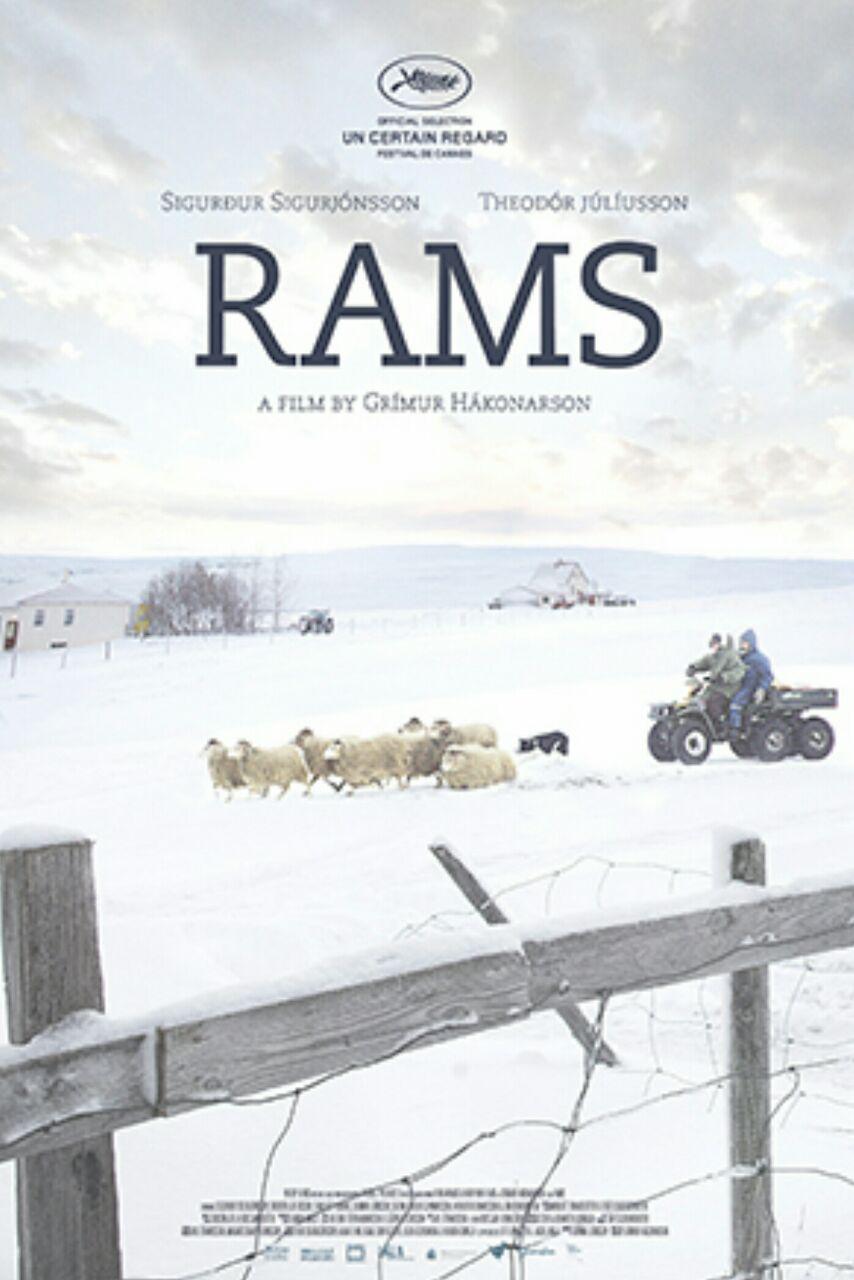 איילים / Rams  - תרגום מובנה - איכות BDRip - 