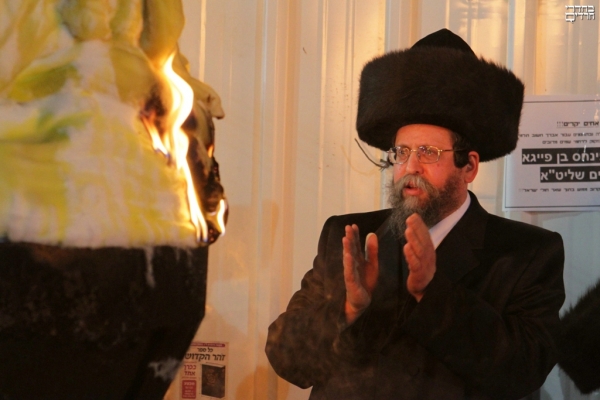 חסידות באיאן - 