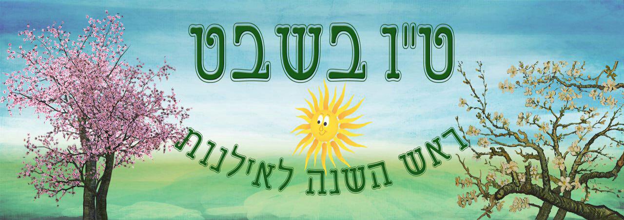 אוסף נגוני אילן לט''ו בשבט - אוסף בלעדי - 