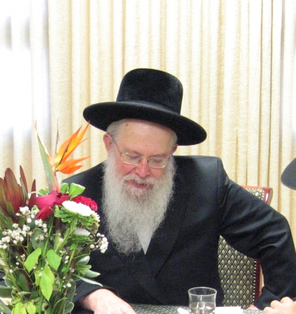 אוסף חסידות סלונים - 