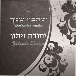 שלא שמנו כהם - יהודה זיתוןסינגל - 