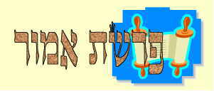 לקט דרשות לפרשת אמור - 