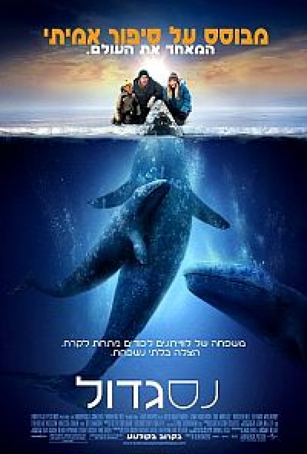 נס גדול ללא תרגום/Big Miracle - DVDRip 2012  - 