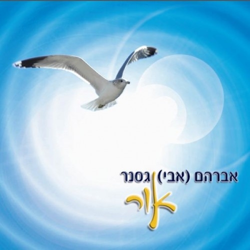 אברהם (אבי) גסנר - אור   - 
