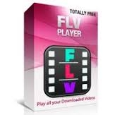 תוכנת -FLVPlayerSet - 