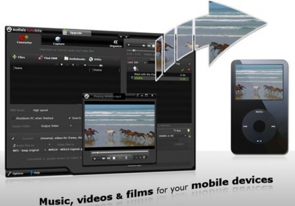 אודיאלס וואן - שליטה במוזיקה| קליפים+אודיו+וידאו+הורדות+העלאות+ניידים+התקנה מלאה+פריצה מלאה - 