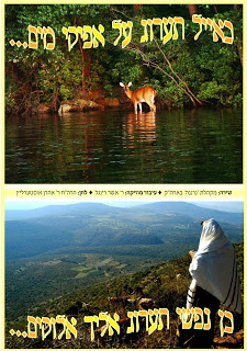 מקהלת נרננה - כאיל תערוג סינגל חדש -