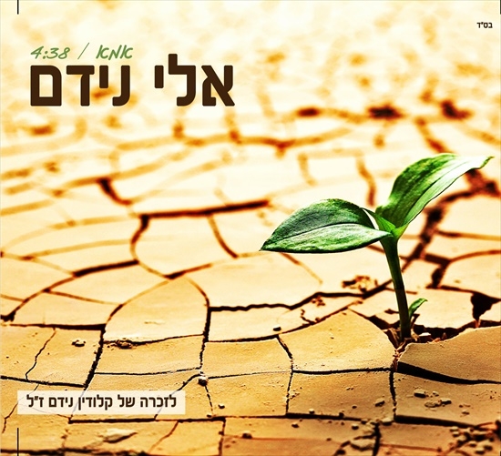 אלי נידם- אמא -