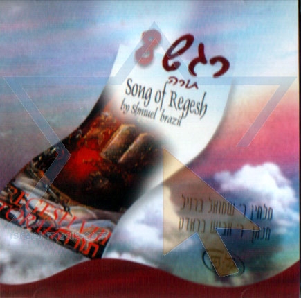 רגש 08-תורה - ברזיל&בראדט- הועלה עי לייזי לבקשת ראובן770 - 