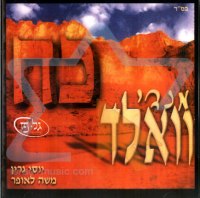 מנדי וואלד - כח  