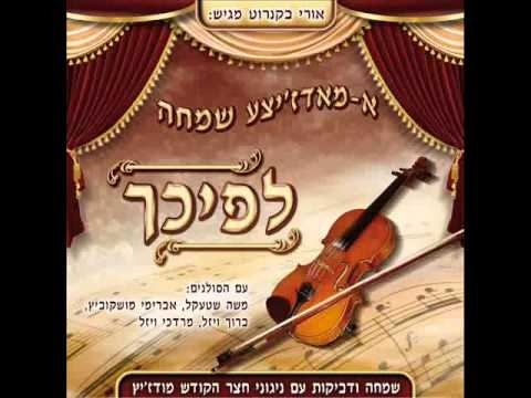 אוסף חסידות מודזיץ ובן-ציון שנקר