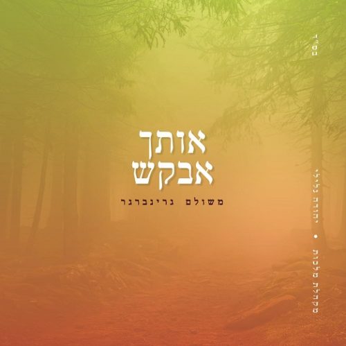 משולם גרינברגר - אותך אבקש - אלבום חדש ובלעדי -