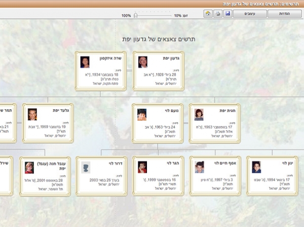  להכנת אילן יוחסין | Family Tree Builder