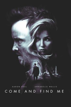 בוא מצא אותי - תרגום מובנה - BDRip - 