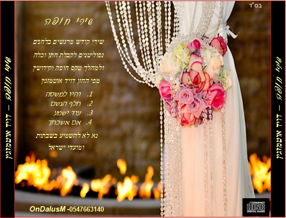 דויד אוטמזגין - שירי חופה  2014 - 