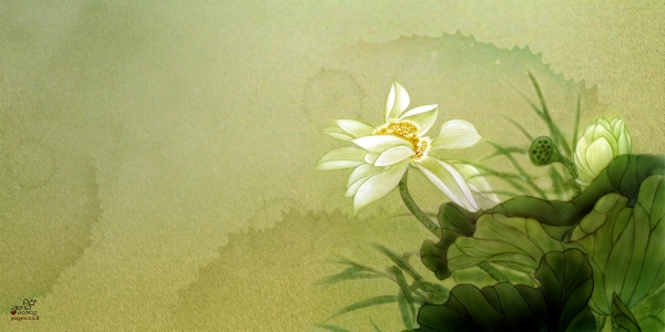 החולמים דרמה מאלפת -