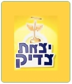 יצאת צדיק - עונה 3, פרק 8 