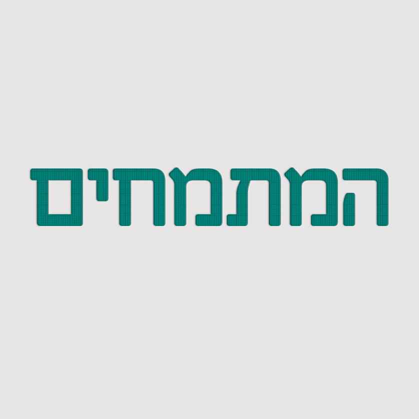 המתמחים עונה 3 פרק 8
